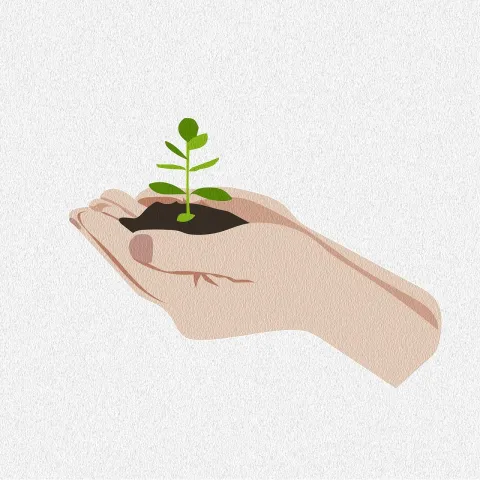 soil