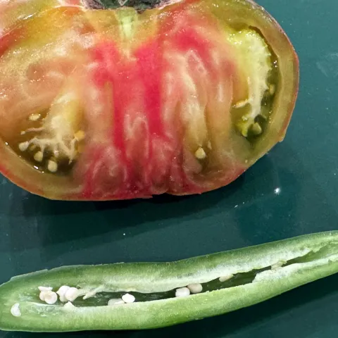 seed saving easy