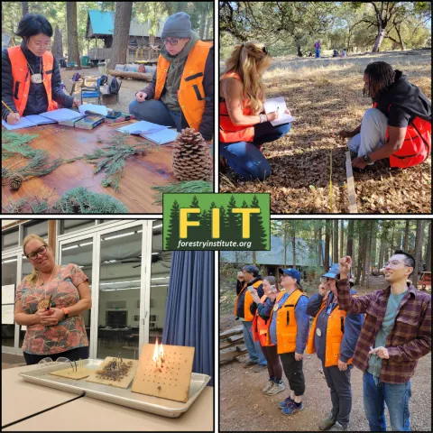 FIT Program 