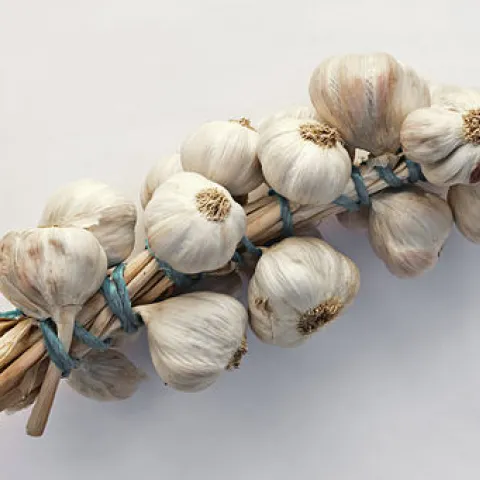 garlic braid