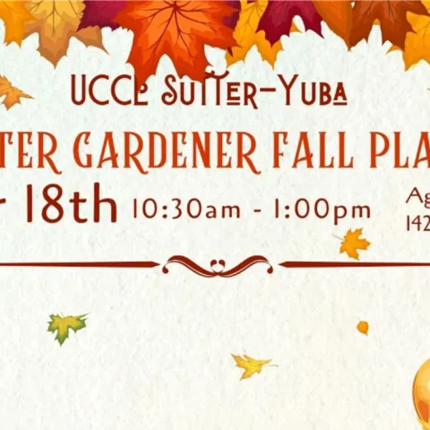 MG Fall Plant Sale