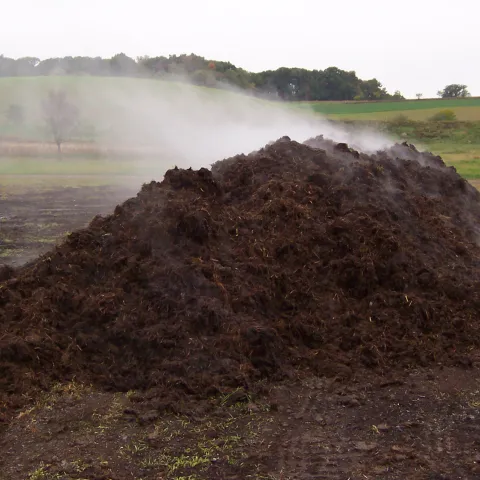 compost pile