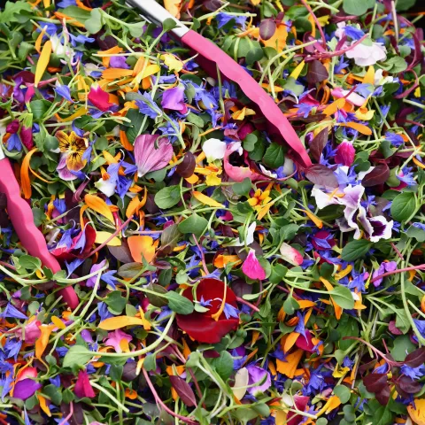 Edible flowers