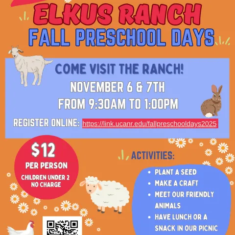 Elkus Preschool Days 2025