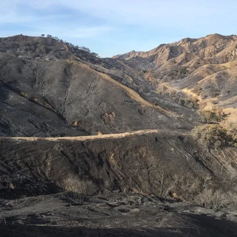 fire damage
