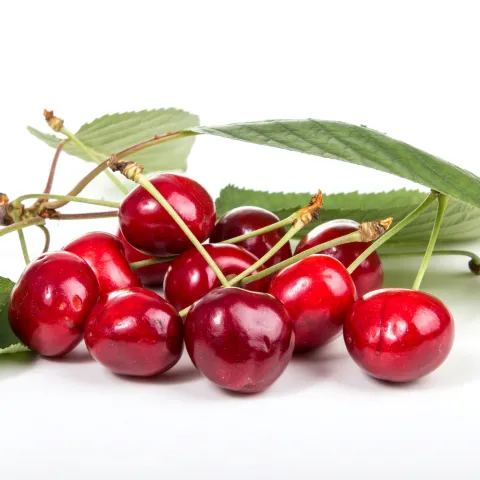Photo of cherries by quaritsch-photography