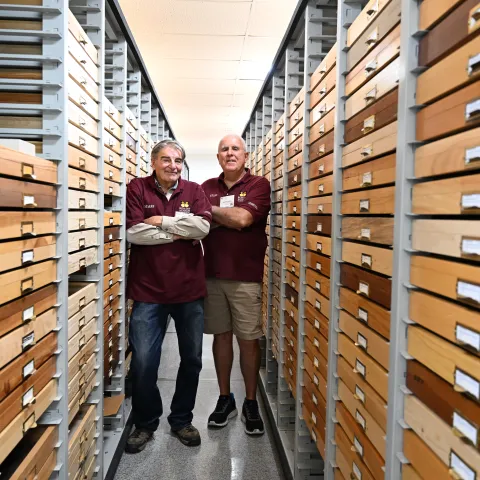 Greg Kareofelas (left) and Jeff Smith in the Lepidoptera collection at the Bohart Museum of Entomology. (Photo by Kathy Keatley Garvey)