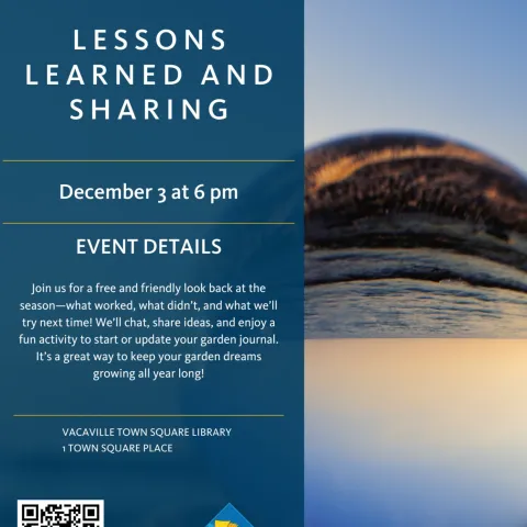 Lessons Learned and Sharing