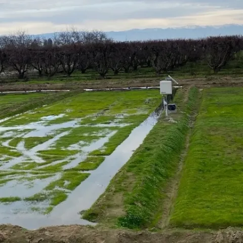 The project includes one test bed served by an AI system and one watered traditionally