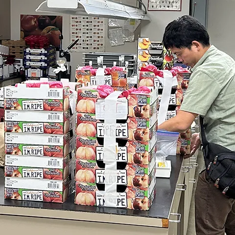 Man arranges boxes of plums