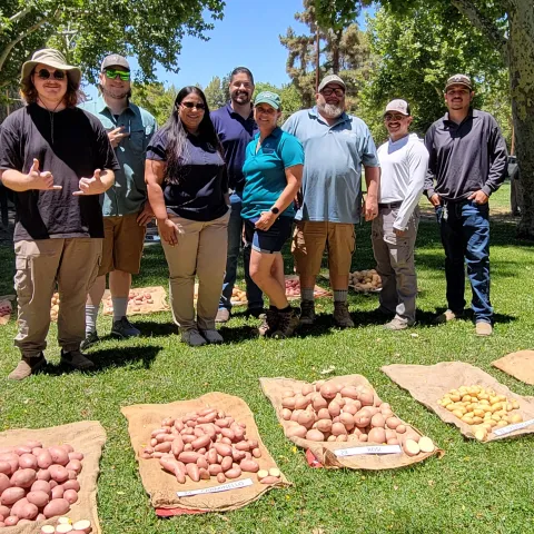 Leonel Jimenez (center) smiles with the potato variety trial team
