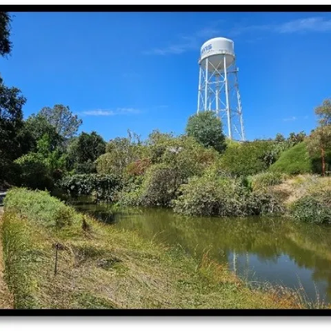 UC Davis watertower in the distance overlook of the waterway