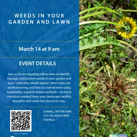 Information about weeds in your garden