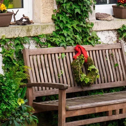 Gardening in Small Spaces