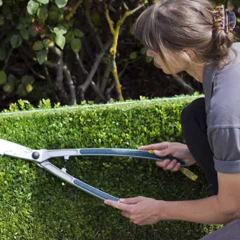 Busy Gardener – Month to Month - Westminister