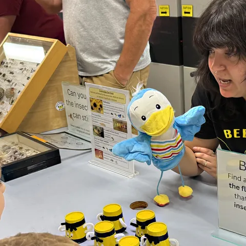 UC Davis doctoral candidate Lexie Martin leading her game, "Bird Brain." (Photo by Kathy Keatley Garvey)