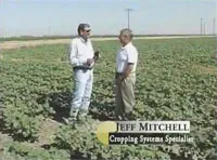 ValleyTodayvideoimage