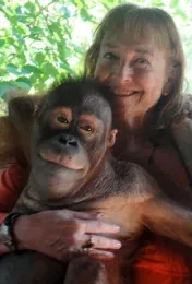 Linda Burman-Hall with an orangutan found in Indonesia, but not Mentawai