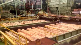 IMG_20130925_120129_267