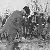 Vintage pruning workshop demonstration - © University of California