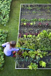 Raised Bed Gardening