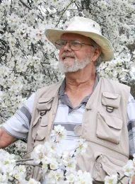 Robbin Thorp, UC Davis distinguished emeritus professor of entomology, in front of an almond tree. (Photo by Kathy Keatley Garvey)