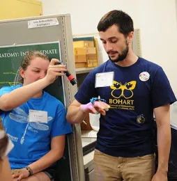 After: Crystal Homicz shines a black light on Wade Spencer's scorpion. (Photo by Kathy Keatley Garvey)