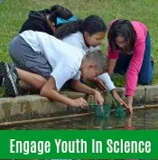 Engage youth in hands on science in 4-H YES or On the Wild Side.