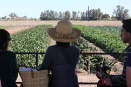 Visitors on hay wagon ride