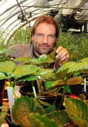 UC Davis agricultural entomologist Christian Nansen in his greenhouse. (Photo by Kathy Keatley Garvey)