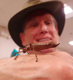 Pinole resident Jesse Meyers, a UC Davis alumnus (1989, chemical engineering) holds a stick insect, also known as a walking stick. (Photo by Kathy Keatley Garvey)