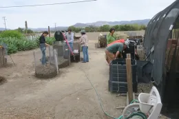 Turning compost and more..