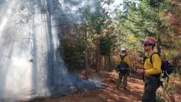 Wildfire with firefighters