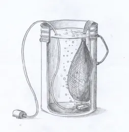 Typical Aerated Compost Tea Brewer