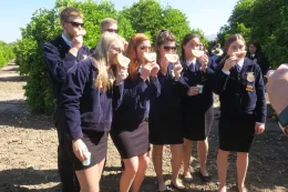 Enjoying the many citrus varieties.