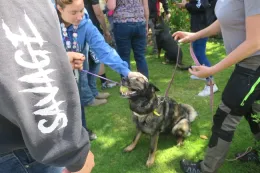 Learning about careers related to K-9 Training