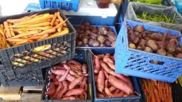 Harvest for those in need