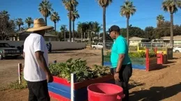 RFT Community Garden