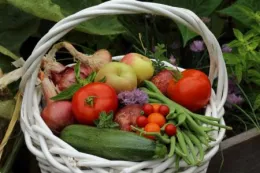 Veggie basket