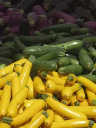 Fresh Eggplant, Zucchini, and Yellow Squash