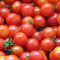 tomatoes in bowl