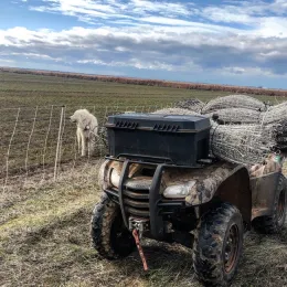 9CD87E77-1646-40CD-9061-F8368DF36F5A