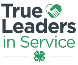 Call-Out-Logo-True-Leaders-in-Service-transparent