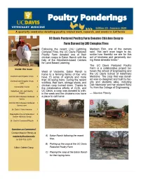 Edition 20 Summer 2020