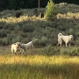 E90C09C8-EE3D-4157-A324-4568F344E73D