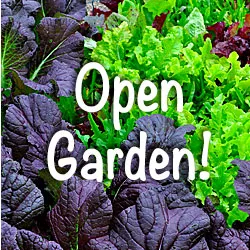 3-OpenGardenCalendar250