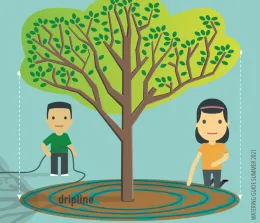 Place dripline in a circle or spiral around plants and trees, California Urban Forests Council