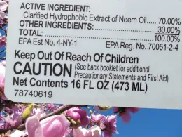 Photo credit: Karen Schaffer