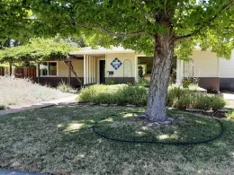 Tree with irrigation ring by Laura Lukes-2