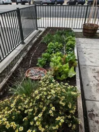 Keplar School garden 2023 2